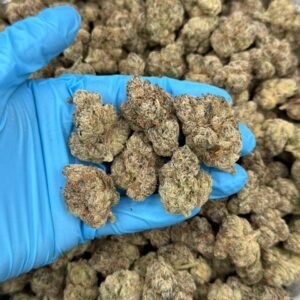 Buy Bolo Runtz Cannabis in the EU