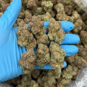 Buy 1lb Strawberry Smoothie Cannabis