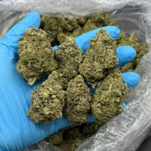 Buy 1LB Cereal Milk Cannabis in EU