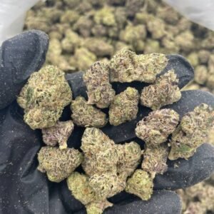 Buy Bubblegum Taffy Cannabis in EU