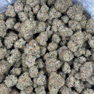 Buy Black Cherry Gelato Cannabis EU