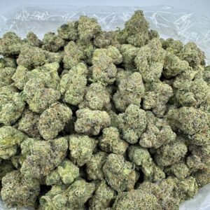 Buy Chocolato 81 Cannabis in EU