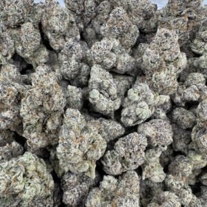 Buy Presidential Runtz Cannabis EU