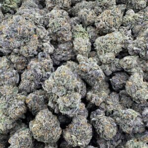 Buy Bubblegum Gelato 23 Cannabis EU