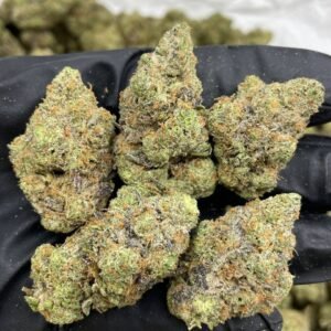 Buy Mango Lemonade 1LB in EU Online