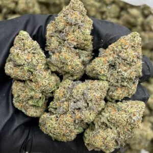 Buy Cherry Smarties Cannabis 1LB EU