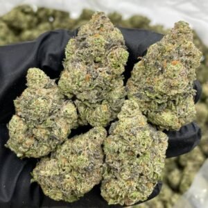 Buy 1LB lemon Bar Cannabis In The EU