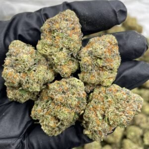 Buy 1lb Coco Puff Cannabis EU, Coco Puff cannabis bulk purchase, Order Coco Puff strain online EU, High THC Coco Puff weed for sale, Wholesale Coco Puff cannabis Europe, Premium Coco Puff buds EU, Strong indica cannabis EU Coco Puff, Legal Coco Puff flower EU, Purchase Coco Puff marijuana Europe, Coco Puff strain 1lb deal Buy 1lb Coco Puff Cannabis in the EU