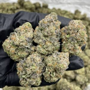 Buy 1LB Blue Fresca Cannabis in EU