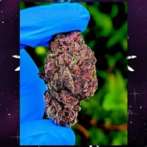 Buy 1LB Super Boof Cannabis in EU