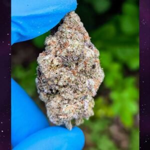 Buy 1LB BlueBerry Cannabis in EU